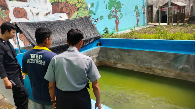 Dukung Ketahanan Pangan, Lapas Permisan Berdayakan Warga Binaan dalam Peternakan