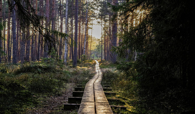 Tempat Nyore di Batu (Foto hanya ilustrasi, bukan tempat sebenarnya) Sumber: pexels/ Pille Kirsi