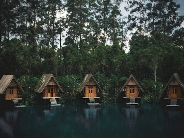 apakah Dusun Bambu pet friendly. Foto hanyalah ilustrasi bukan tempat sebenarnya. Sumber: Unsplash/alea Film