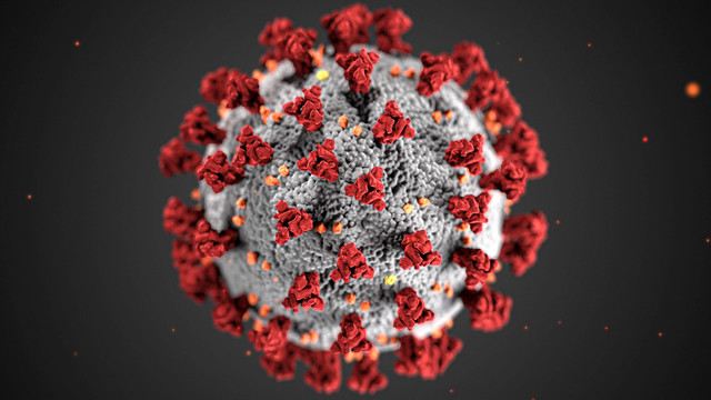 Ilustrasi Gambar Virus (Source: rawpixel.com)