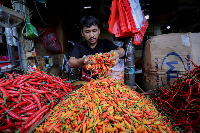 Pedagang menata cabai rawit di Pasar Senen, Jakarta, Selasa (7/1/2025). Foto: Jamal Ramadhan/kumparan