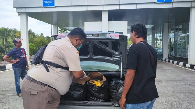 Pemeriksaan barang bawaan pelintas dilakukan oleh pejabat Karantina di Pos Lintas Batas Negara (PLBN) Badau