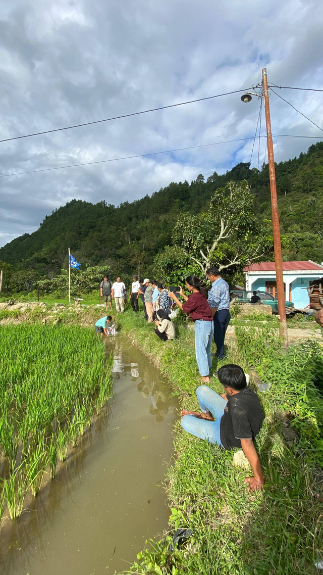 Demplot Mina padi; Penebaran benih Ikan Nila dan tanaman air (Mata Lele). Meat, Sabtu (07/12/2024)