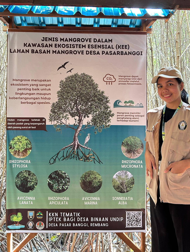 Papan Informasi Jenis-jenis Mangrove