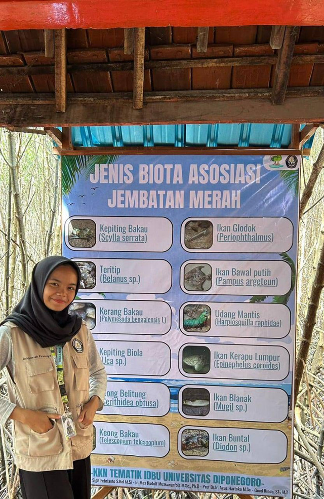 Pemasangan Papan Infromasi Biota Asosiasi di Jembatan Merah Mangrove. Sumber: Dokumentasi Tim KKNT IDBU Pasarbanggi, Rembang