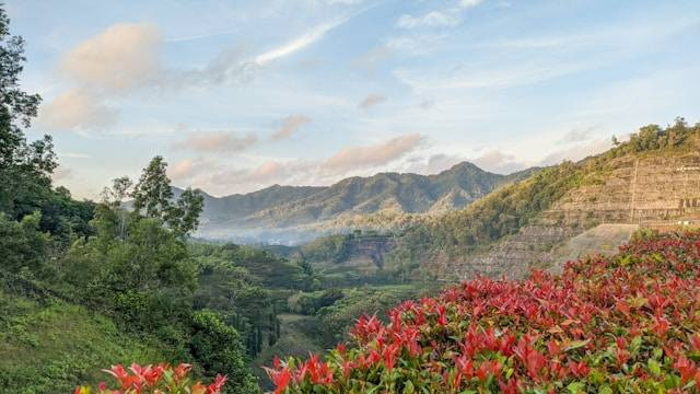 Tirto Gumarang, foto hanya ilustrasi, bukan tempat sebenarnya: Unsplash/fajriyan