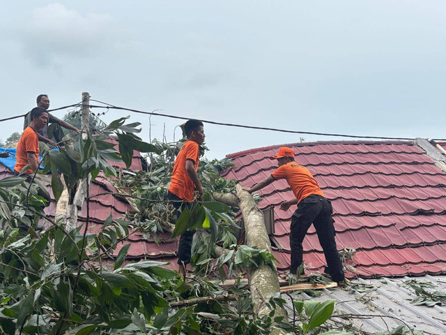 BPBD Kota Bandar Lampung saat mengevakuasi pohon tumbang di Perumahan Slara Tirtayasa Asri, Campang Jaya, Sukabumi. | Foto: BPBD Kota Bandar Lampung