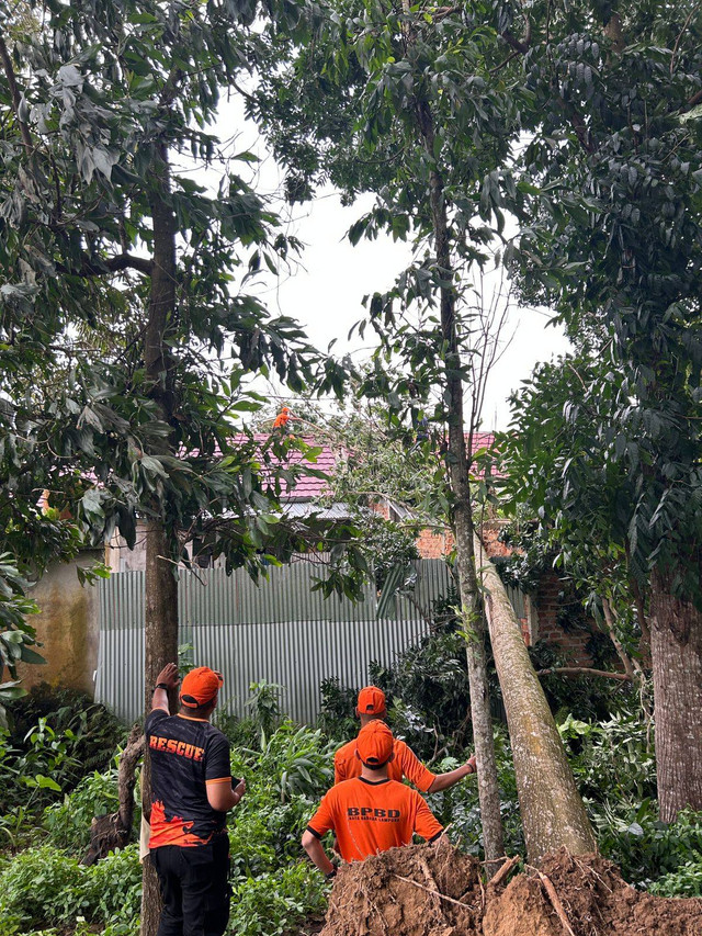 BPBD Kota Bandar Lampung saat mengevakuasi pohon tumbang di Perumahan Slara Tirtayasa Asri, Campang Jaya, Sukabumi. | Foto: BPBD Kota Bandar Lampung