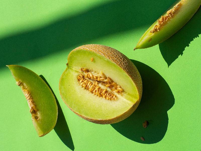 Ilustrasi Apakah Tanaman Melon Perlu Dipangkas, Foto: Unsplash/Oriol Portell