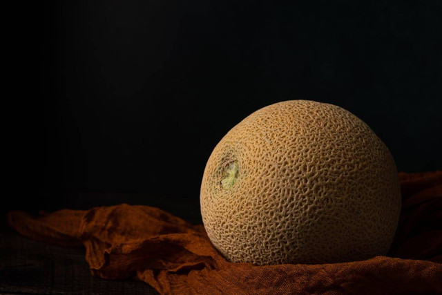 Ilustrasi Apakah Tanaman Melon Butuh Banyak Air, Foto: Pexels/Skyler Ewing