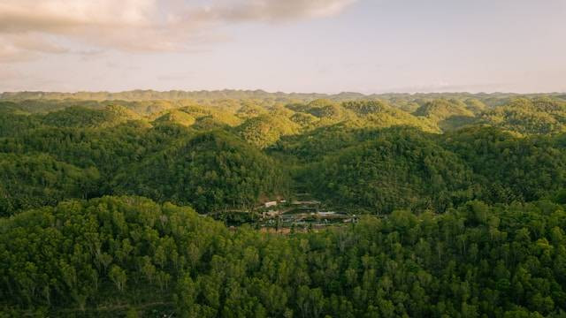 Beiji Park Pacitan, foto hanya ilustrasi, bukan tempat sebenarnya: Unsplash/Ibnu Al Rasyid