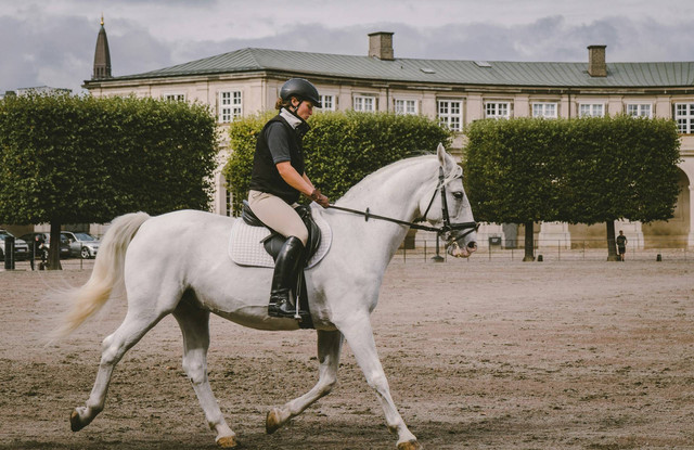 Nirwana Stable. Foto hanya ilustrasi, bukan tempat sebenarnya. Sumber: Unsplash/kristijan arsov