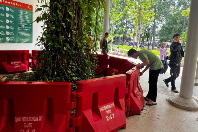 Warga yang mencari "Koin Jagat" di Tebet Eco Park, Jakarta Selatan, Minggu (12/1/2025).
 Foto: Rayyan Farhansyah/kumparan