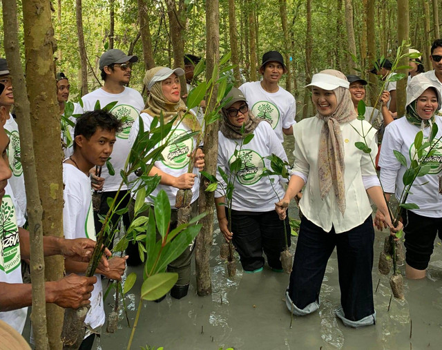 Chusnunia Chalim  bersama Pemerintah Daerah kabupaten Lampung Timur dan juga Wakil Gubernur Lampung saat melakukan penanaman 2000 pohon mangrove. | Foto: Istimewa 