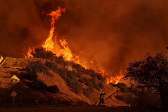 Seorang petugas pemadam kebakaran berjuang melawan Kebakaran Palisades di Mandeville Canyon, California, Sabtu (11/1/2025). Foto: Jae C. Hong/AP Photo