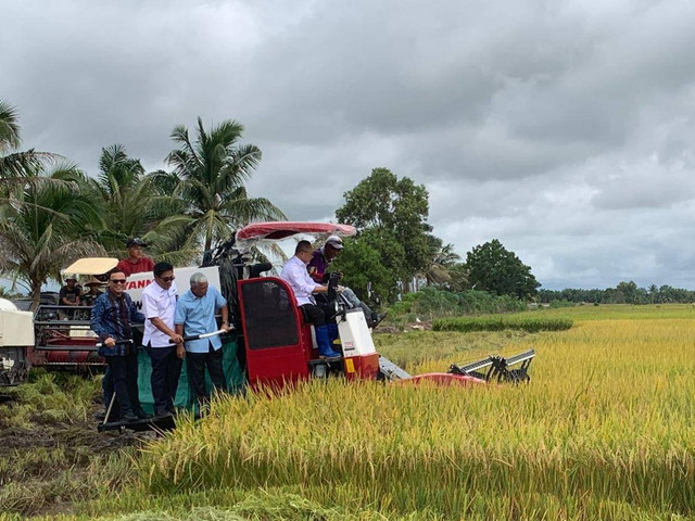 Menteri Koordinator Bidang Pangan, Zulkifli Hasan, saat Panen Padi Perdana di Desa Seri Meranti, Kecamatan Tanjung Lago, Kabupaten Banyuasin, Sumsel. Foto : Abdullah Toriq/Urban Id