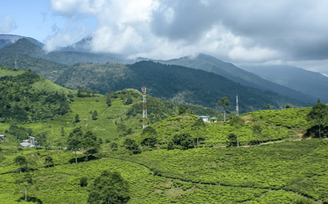 tempat wisata di puncak untuk rombongan. Foto Hanya Ilustrasi Bukan Tempat Sebenarnya. Sumber Foto: Unsplash/Alvian Hasby