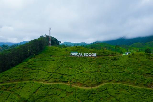 Tempat wisata Puncak kids friendly, foto: Puncak, Bogor. Unsplash/Ammar Andiko