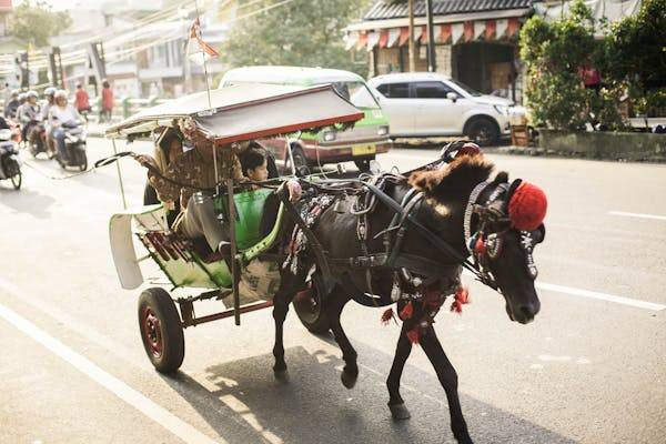 Ilustrasi Kearifan lokal Yogyakarta. Foto: Pexels.com/Satria Bagaskara