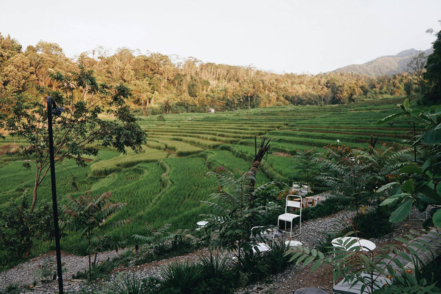 Ilustasi Kearifan Lokal Sumatera Utara yang Sangat Menarik, Pexels/Life Folk