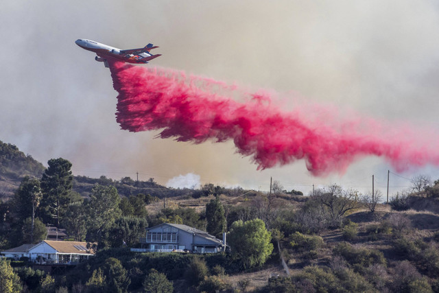 Pesawat memadamkan Cairan berwarna merah muda menutupi tanaman dan mobil warga, cairan ini berfungsi mencegah kebakaran hutan meluas di Mandeville Canyon, Los Angeles, California, Amerika Serikat, 11 Januari 2025. Foto: Ringo Chiu/REUTERS