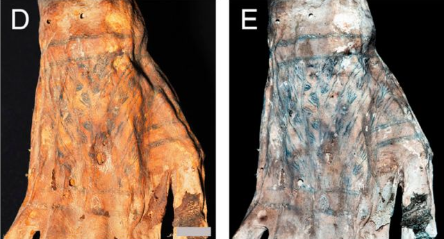 Tato yang ditemukan di tangan mumi Chancay di bawah cahaya putih (kiri) dan LSF (kanan).  Foto: Journal PNAS