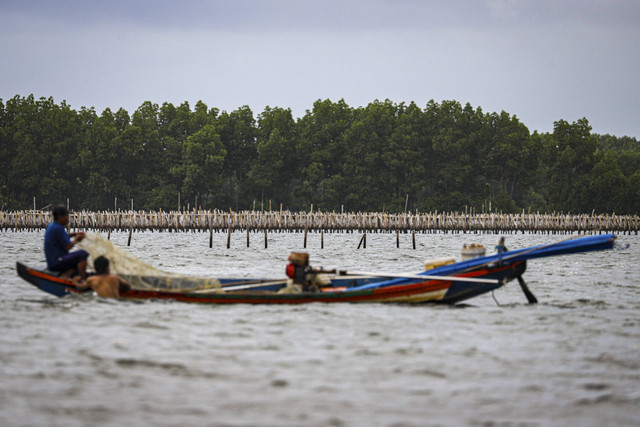 Seorang nelayan melintas disamping pagar laut di sepanjang laut di kawasan Desa Segara Jaya, Tarumajaya, Kabupaten Bekasi, Selasa (14/1/2025). Foto: Iqbal Firdaus/kumparan