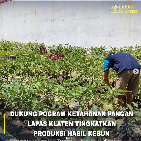 Dukung program ketahanan pangan Lapas Klaten tingkatkan produksi pertanian