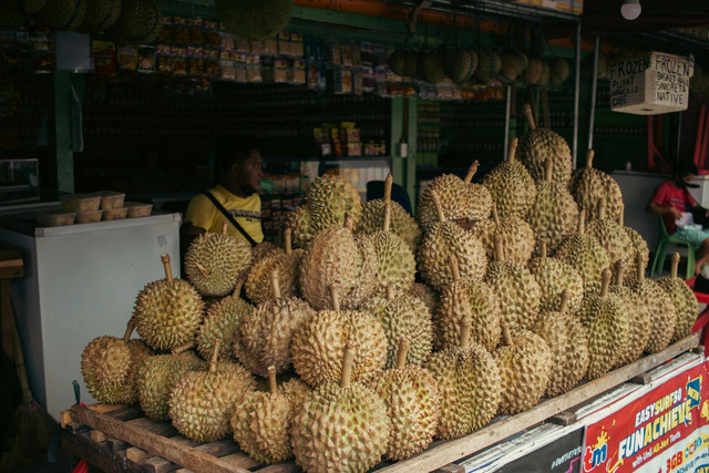 Ilustasi Cara Memilih Durian Lokal yang Bagus agar Tidak Keliru, Pexels/John Escudero