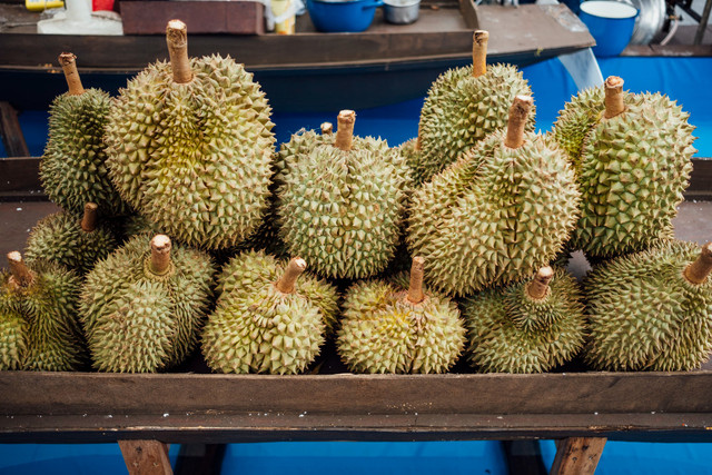 Ilustrasi Cara Memilih Durian Daging Tebal, Freepik/Jcomp