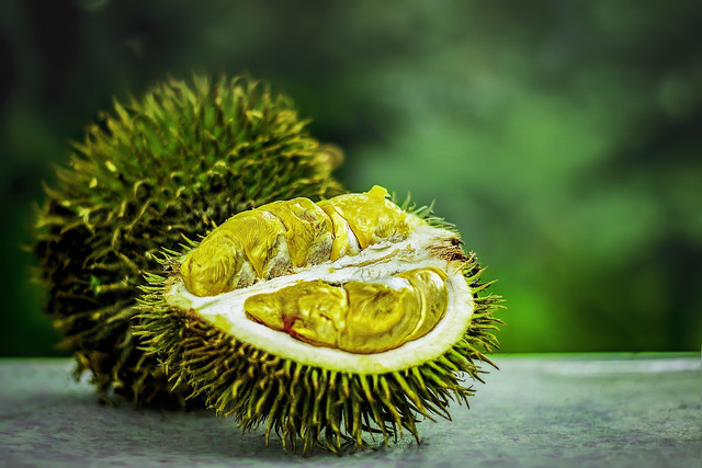 Ilustrasi cara agar durian cepat jatuh dari pohon, Foto: Pixabay/truthseeker08