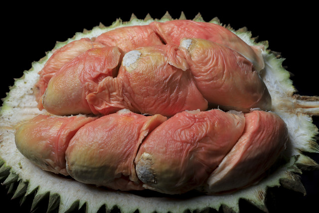 Ilustrasi durian pelangi. Foto: Shutterstock