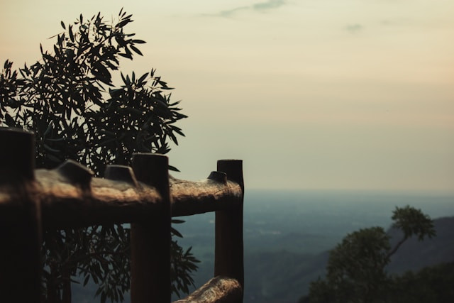 Wisata petik buah di Yogyakarta. Foto: Puncak Kebun Buah Mangunan. Sumber: Unsplash/Aurelio Marcelino