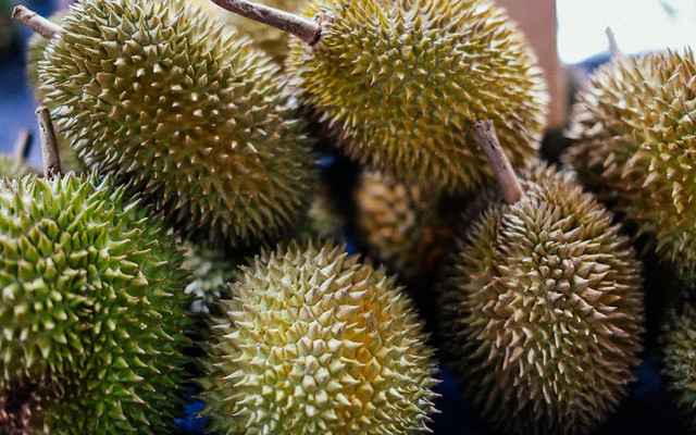 Kebun Durian di Gresik. Foto hanya ilustrasi, bukan tempat sebenarnya. Sumber: pexels.com/vitalina