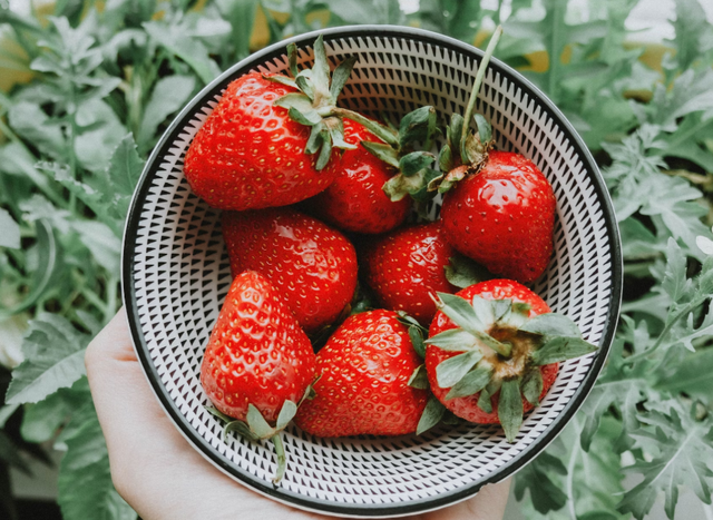 wisata petik strawberry pacet. Foto Hanya Ilustrasi Bukan Tempat Sebenarnya. Sumber Foto: Unsplash/Anastasia Zhenina