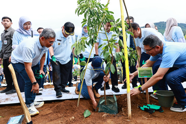 Pj. Bupati Bogor, Bachril Bakri, Menteri LH atau Kepala BPLH, Hanif Faisol Nurofiq, Direktur Logistik & Infrastruktur PT Pertamina (Persero), Alfian Nasution, dan Direktur Utama Perkebunan Nusantara I, Teddy Yunirman Danas saat menanam pohon dalam di Agrowisata Gunung Mas, Bogor, Jawa Barat, (16/01/2025).