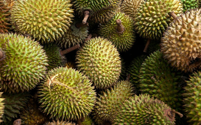 Wisata Petik Durian Wagir Malang. Foto hanya ilustrasi, bukan tempat sebenarnya. Sumber: pexels.com/Jeffry S.S.