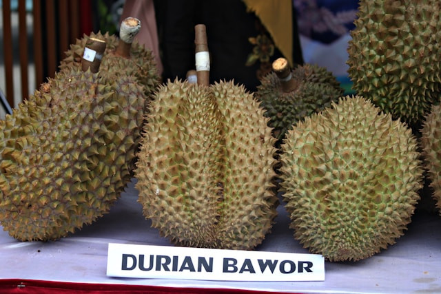 Kampung Durian Rancamaya. Foto hanya ilustrasi, bukan tempat sebenarnya. Sumber: Unsplash/Mufid Majnun