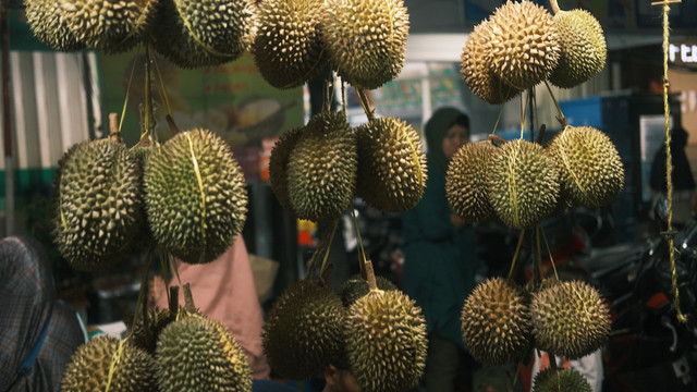 Ilustrasi Cara agar Durian Cepat Matang setelah Dipetik, Foto:Unsplash/David Kristianto