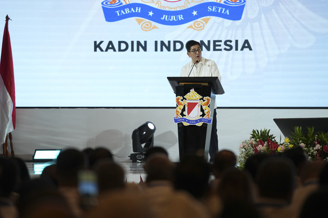 Ketua Dewan Pertimbangan Kadin Indonesia Arsjad Rasjid. Foto: Dok. Kadin