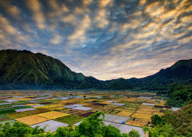 Ilustrasi Keadaan Alam Indonesia. Unsplash/Koes nadi