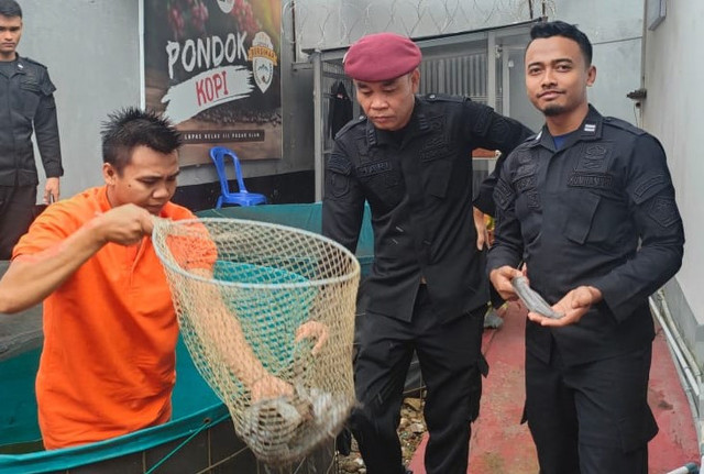 Lapas Pagar Alam Panen Ikan Lele, Dukung Ketahanan Pangan dan Kemandirian WBP 