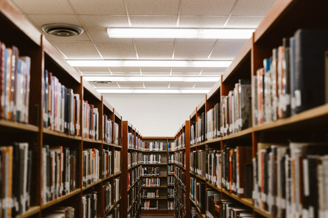 Ilustrasi Cara Membuat Katalog Perpustakaan, Foto: Unsplash/Priscilla Du Preez 🇨🇦