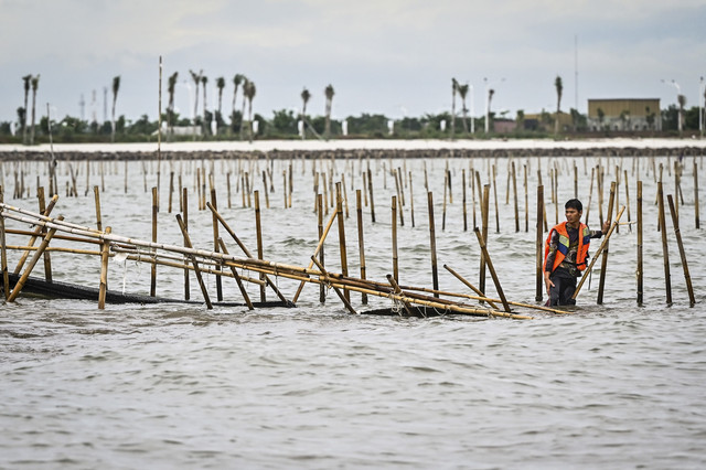 Nelayan membongkar pagar laut yang terpasang di kawasan pesisir Tanjung Pasir, Kabupaten Tangerang, Banten, Sabtu (18/1/2025). Foto: Rivan Awal Lingga/ANTARA FOTO