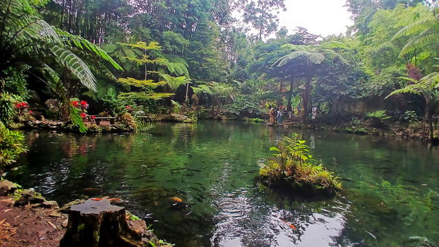 Kolam berisi air yang mengalir dari Gunung Dempo menambah suasa nyaman saat berkunjung ke tempat wisata Green Paradise, Kota Pagar Alam, Sunatera Selatan, Sabtu (18/1) Foto: ary/urban id