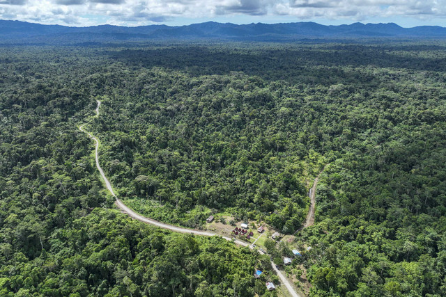 Foto udara Kampung Malasigi yang dikelilingi hutan Balempe. Foto: Erlangga Bregas Prakoso/ANTARA FOTO