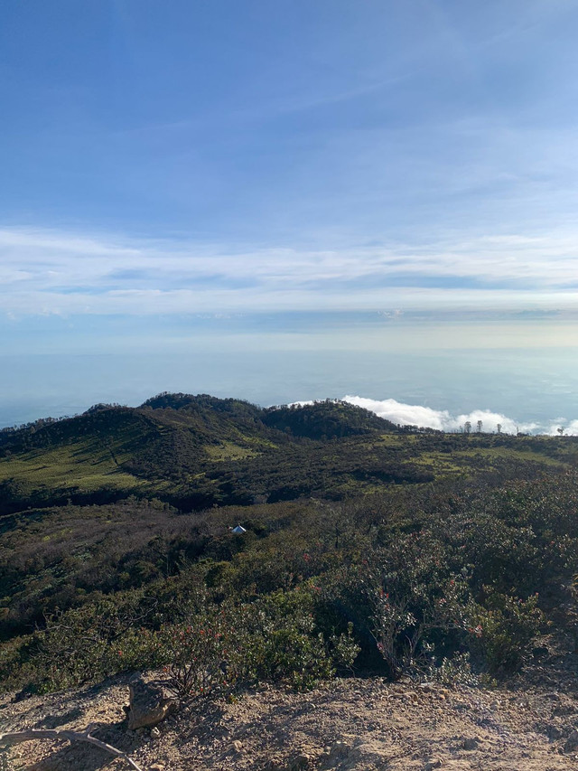 Dokumentasi Pribadi Narasumber 