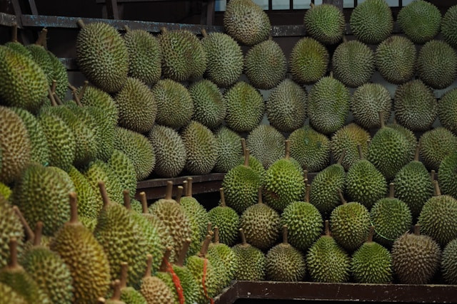 Kebun Durian dan Wisata Edukasi Watu Simbar. Foto hanya ilustrasi, bukan tempat sebenarnya. Sumber: Unsplash/Shino Nakamura