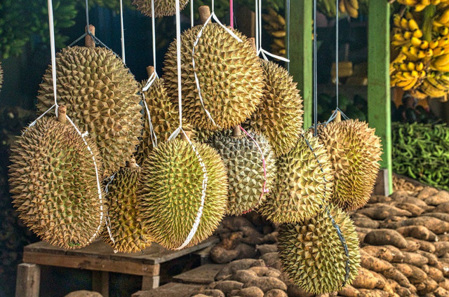 Ilustrasi Cara Memilih Durian yang Matang. Pexels/Tom Fisk