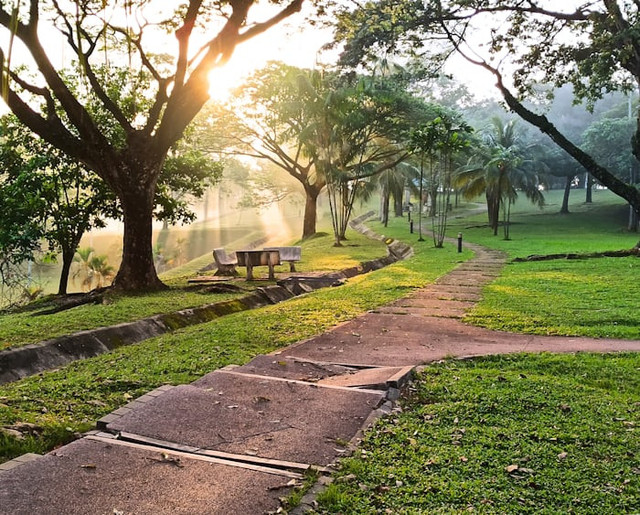 Taman Teluk Grajakan (Foto hanya ilustrasi, bukan tempat sebenarnya) Sumber: unsplash/ Afdhal N.